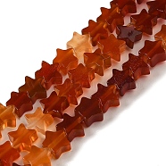 Natural Carnelian Beads Strands, Star, 6x5.5x2mm, Hole: 0.8mm, about 75pcs/strand, 14.57 inch(37cm)(G-G085-B35-02)