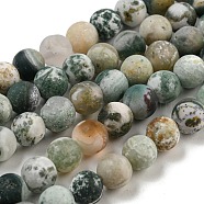 Natural Tree Agate Frosted Agate Round Gemstone Beads Strands, 6mm, Hole: 1mm, about 64pcs/strand, 15.5 inch(G-O151-01-6mm)