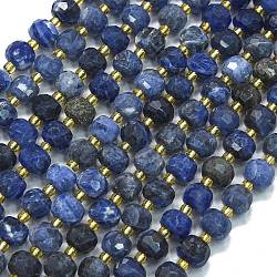 Natural Sodalite Beads Strands, with Seed Beads, Faceted, Lantern, 8~8.5x6.5~7mm, Hole: 0.6mm, about 44pcs/strand, 15.16 inch(38.5cm)(G-K389-E74-01B)