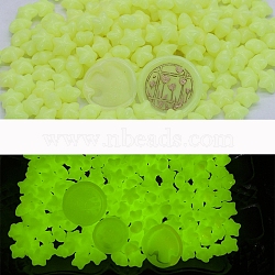 Luminous Sealing Wax Particles, for Retro Seal Stamp, Star, Champagne Yellow, Packing: 125x90mm(PW-WG59879-04)