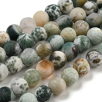Natural Tree Agate Frosted Agate Round Gemstone Beads Strands, 6mm, Hole: 1mm, about 64pcs/strand, 15.5 inch