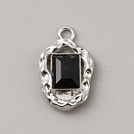 Alloy Pendants, with Plastic, Platinum, Oval, 21x13x4mm, Hole: 2mm(PALLOY-WH0108-07M-P)
