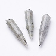 Natural Labradorite Pointed Pendants, with 201 Stainless Steel Split Rings, Bullet, Stainless Steel Color, 42~46x10mm, Hole: 5mm(G-D850-07)