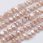 Natural Cultured Freshwater Pearl Beads Strands, Baroque Keshi Pearl Beads, Two Sides Polished, Sandy Brown, 5~7x4~5x3~4mm, Hole: 0.3mm, about 76~80pcs/strand, 14 inch(PEAR-P002-53D)
