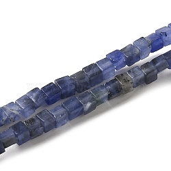 Natural Sodalite Beads Strands, Cube, 2~2.5x2.5~3.5x2.5~3mm, Hole: 0.4mm, about 157~165pcs/strand, 14.96~15.75''(38~40cm)(G-B064-A27)