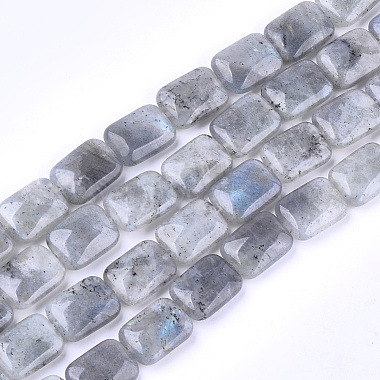 Natural Labradorite Beads Strands(X-G-T121-13)-2