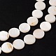 Shell normal de perles blanches de brins(X-PBB251Y-2)-3