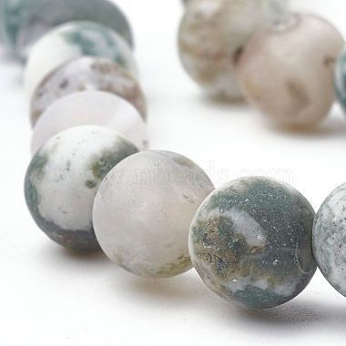 Natural Tree Agate Beads Strands(X-G-T106-038)-2