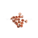 Brass Rivets, with Screw, for Purse Handbag Shoes Punk Rock Leather Craft Clothes Belt, Rose Gold, 6x6mm(PW-WG2BECC-22)
