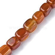 Natural Red Agate Beads Strands, Dyed & Heated, Cuboid, 8.5~11x7.5~9x7.5~9mm, Hole: 1.2mm, about 20pcs/strand, 7.72~8.74 inch(19.6~22.2cm)(G-F743-02K)