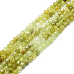 Natural Green Garnet Beads Strands, Faceted, Round, 4mm, Hole: 0.8mm, about 110pcs/strand, 15.16''~15.55''(38.5~39.5cm)(G-P457-A04-25)