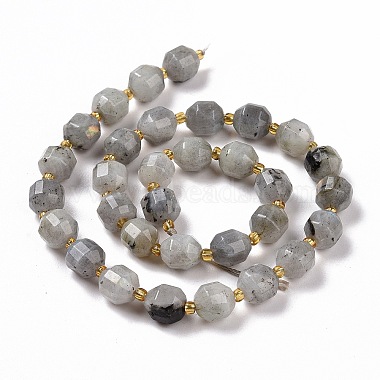 Natural Labradorite Beads Strands(G-G990-F04)-3