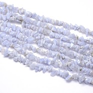 Natural Blue Lace Agates Strands, Chips, 5~8x5~8mm, Hole: 1mm, about 31.5 inch(G-O049-B-18)