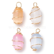 Dyed Natural Selenite Pendants, Golden Tone Copper Wire Wrapped Drum Charms, Mixed Color, 17.5x9.5x9mm, Hole: 3mm(PALLOY-JF02965)