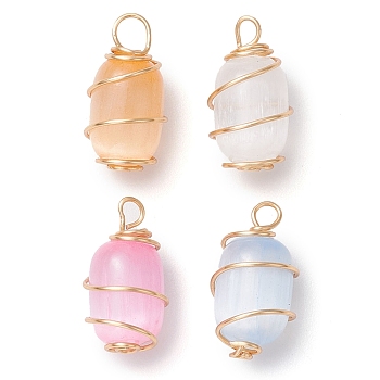 Dyed Natural Selenite Pendants, Golden Tone Copper Wire Wrapped Drum Charms, Mixed Color, 17.5x9.5x9mm, Hole: 3mm