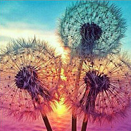 DIY 5D Dandelion Pattern Canvas Diamond Painting Kits, with Resin Rhinestones, Sticky Pen, Tray Plate, Glue Clay, for Home Wall Decor Full Drill Diamond Art Gift, 300x300x0.3mm(DIY-C021-14)