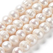 Natural Cultured Freshwater Pearl Beads Strands, Potato, Grade A, Antique White, 8.5~12x9.5~11mm, Hole: 0.5mm, about 35pcs/strand, 13.86''(35.2cm)(PEAR-E019-12)