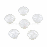 ABS Plastic Imitation Pearl Beads, Shell/Scallop, WhiteSmoke, 10x11.5x4mm, Hole: 1.8mm(X-OACR-T018-08)