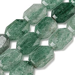 Natural Green Strawberry Quartz Beads Strands, Hexagon, Faceted, 12x17x5mm, Hole: 1mm, about 24pcs/strand, 15.55''(39.5cm)(G-P544-B02-01)