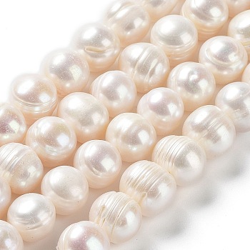 Natural Cultured Freshwater Pearl Beads Strands, Potato, Grade A, Antique White, 8.5~12x9.5~11mm, Hole: 0.5mm, about 35pcs/strand, 13.86''(35.2cm)