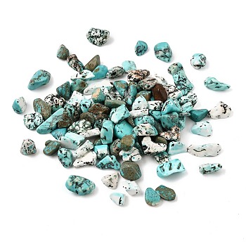 Synthetic Turquoise Beads, Dyed, Chip, No Hole/Undrilled, 8~25x8~12x8~12mm