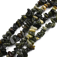 Natural Peridot Beads Strands, Chip, 5~13x5~13x1~7mm, Hole: 1mm, about 240~420pcs/strand, 34.6 inch(X-G-R002-12)