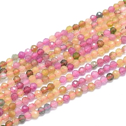 Natural Tourmaline Beads Strands, Faceted, Round, 2.5~3mm, Hole: 0.6mm, about 153~162 pcs/Strand, 15.35 inch(39cm).(G-D0003-E94-3MM)