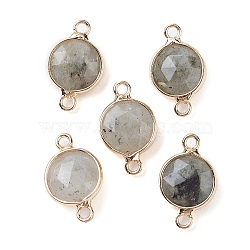 Natural Labradorite Connector Charms, Faceted Flat Round with Golden Plated Brass Frame, 16.5x10.5x5mm, Hole: 1.5mm(G-C102-09E-G)