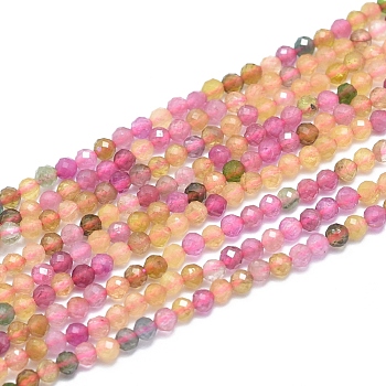 Natural Tourmaline Beads Strands, Faceted, Round, 2.5~3mm, Hole: 0.6mm, about 153~162 pcs/Strand, 15.35 inch(39cm).