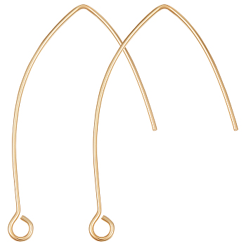 Beebeecraft 50Pcs Brass Earring Hooks, with Horizontal Loops, Nickel Free, Golden, 37~37.5x15~16x0.8mm, Hole: 2mm, 20 Gauge, Pin: 0.8mm