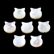 Natural White Shell Beads, Cat Head, 10x10x3.5mm, Hole: 0.9mm(SSHEL-N034-124B)