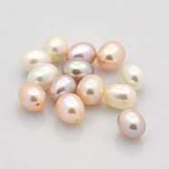 Natural Cultured Freshwater Pearl Beads, Half Drilled, Rice, Grade AAA, Mixed Color, 8x6~6.5mm, Hole: 1mm(PEAR-M001-M)