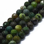 Natural South Africa Jasper Beads Strands, Faceted(64 Facets), Round, 6.5mm, Hole: 0.8mm, about 62pcs/strand, 15.35 inch(39cm)(G-G927-12B)