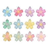 24Pcs 12 Colors Translucent Resin Pendants, with Glitter Powder and Platinum Tone Alloy Loops, Cherry Blossom Charm, Mixed Color, 29x27x5mm, Hole: 2mm, 2pcs/color(RESI-CJ0002-50)