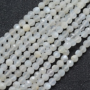 Natural White Moonstone Beads Strands, Faceted, Round, White, 3mm, Hole: 0.5mm, about 113pcs/strand, 15.35 inch(39cm)(G-E411-07-3mm)