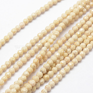 Natural Fossil Beads Strands, Faceted, Round, 4mm, Hole: 1mm, about 116pcs/strand, 15.5 inch(X-G-K209-05D-4mm)
