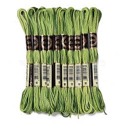 10 Skeins 6-Ply Polyester Embroidery Floss, Cross Stitch Threads, Segment Dyed, Green, 0.5mm, about 8.75 Yards(8m)/skein(OCOR-K006-A02)