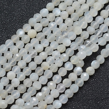 Natural White Moonstone Beads Strands, Faceted, Round, White, 3mm, Hole: 0.5mm, about 113pcs/strand, 15.35 inch(39cm)