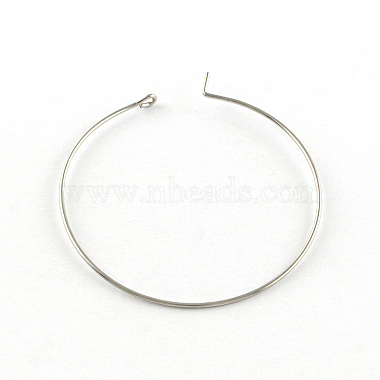 304 Stainless Steel Earring Hoop(X-STAS-R083-01)-2