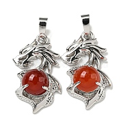 Dyed & Heated Natural Carnelian Pendants, Dragon Charms with Rack Plating Brass Findings, Platinum, Cadmium Free & Lead Free, 31x18x8~10mm, Hole: 5x8mm(G-G111-01P-04)