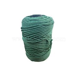 Chinlon Cloth Yarn, For Hand Knitting Thick Thread, Crochet Cloth Yarn, Sea Green, 4~5mm(PW-WG61A55-26)