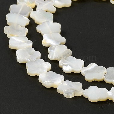 Natural White Shell Beads Strands(SHEL-F003-07)-6