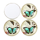 Butterfly Printed Glass Cabochons(GGLA-N004-12mm-C01)-2