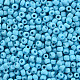 Glass Seed Beads(SEED-A010-3mm-43)-2