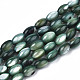 eau douce naturelle de coquillage perles brins(X-SHEL-N003-25-B01)-1