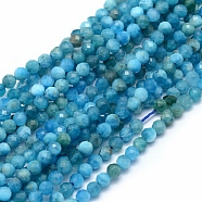 Natural Apatite Beads Strands, Faceted, Round, 2mm, Hole: 0.5mm, about 150pcs/strand, 15.35 inch(39cm).(G-E411-36-2mm-01)