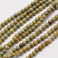 Natural Silver Leaf Jasper Round Beads Strands, 2mm, Hole: 0.8mm, about 184pcs/strand, 16 inch(G-A130-2mm-C02)