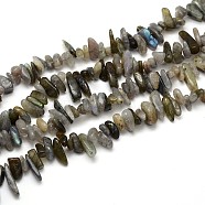 Labradorite Beads Strands, Nuggets, 9~22x4~10mm, Hole: 1mm, about 15.7 inch(G-O051-08)