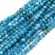 Natural Apatite Beads Strands(G-E411-36-2mm-01)-1