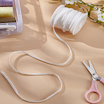 5 Yards Velvet Ribbon, for Garment Accessories, Gift Decoration, with Plastic Empty Spools, White, 1/8 inch(3mm), about 5.00 Yards(4.57m)/Set(OCOR-LP0002-69B)